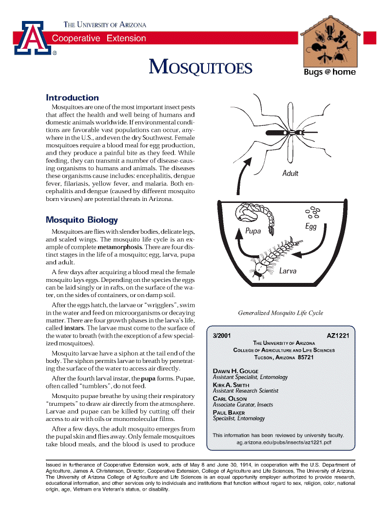 Mosquitos01