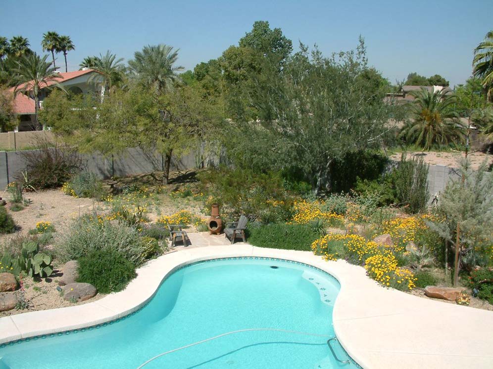 Planting in Soft Curves