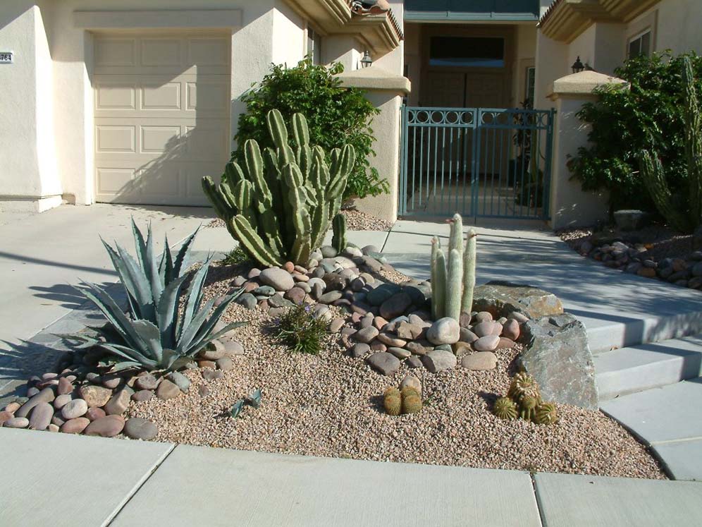 Agave and Companions