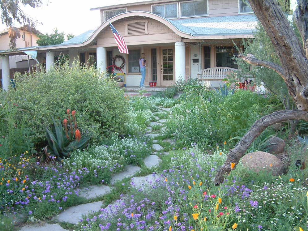 Wildflower Path