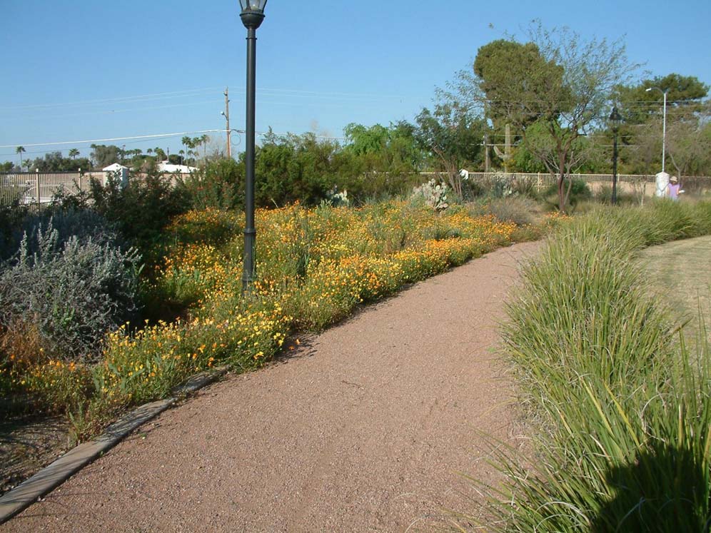 Wide Walkway