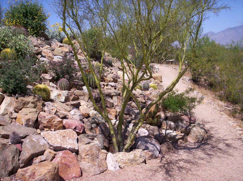 Rock and Flower Garden