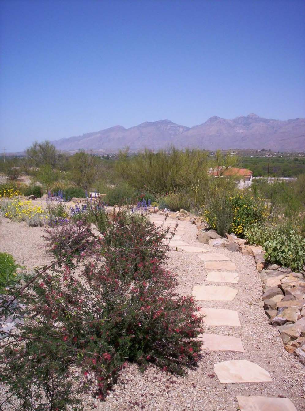 Stepping Stones Around the Garden