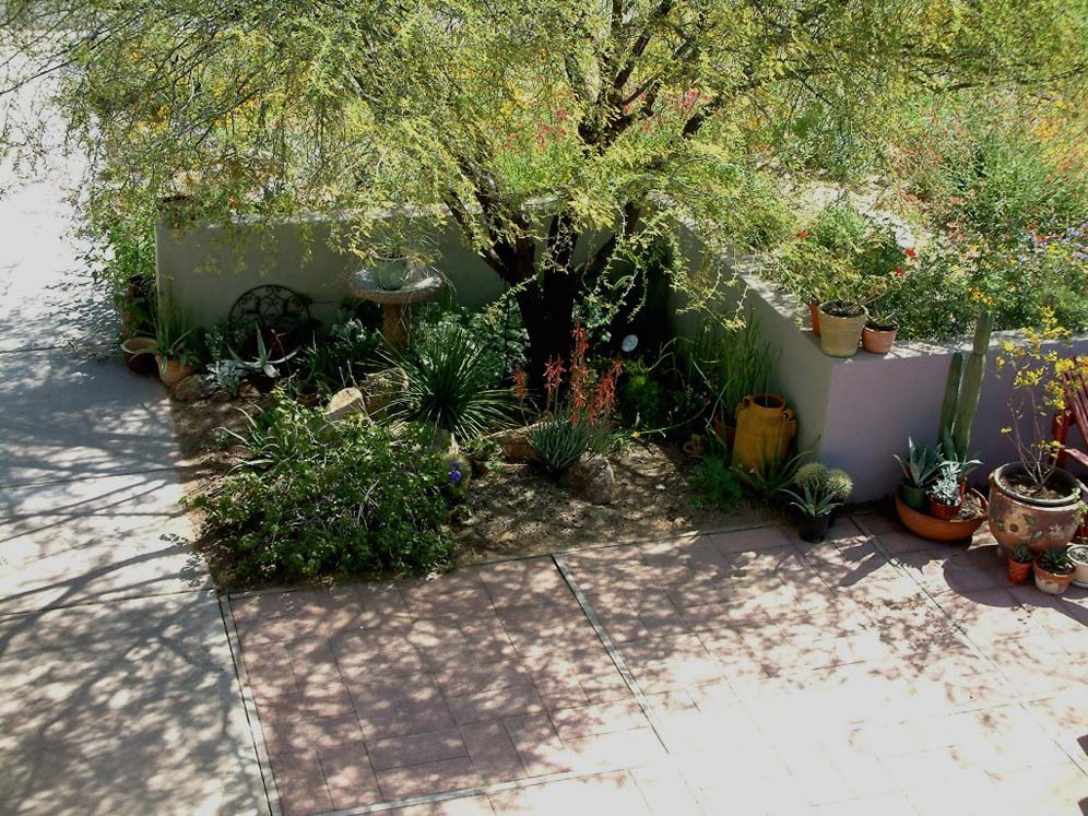 Filtered Shade for Container Plants