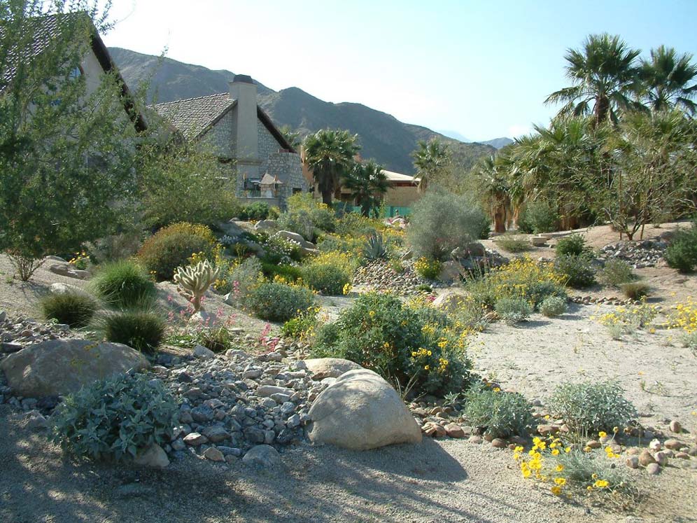 Desert Wash