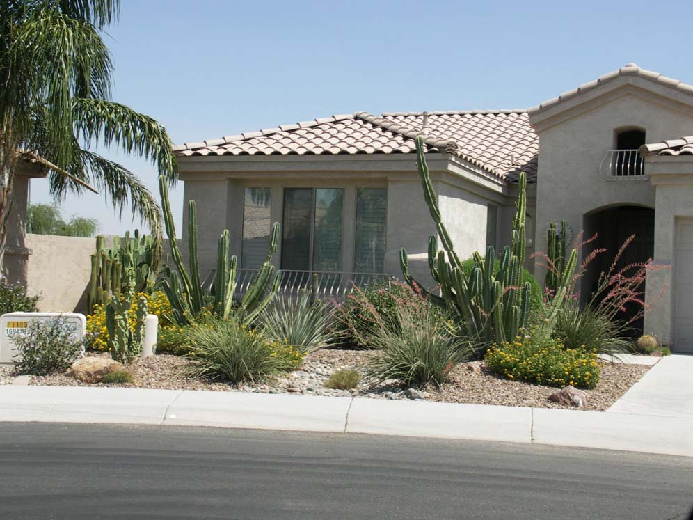 Excellent Cactus Garden