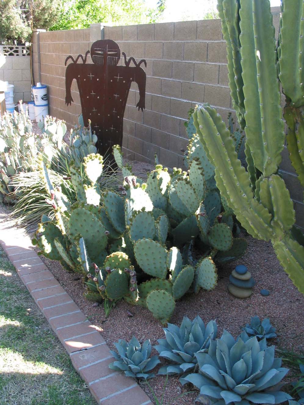 Cactus Garden and Ornament