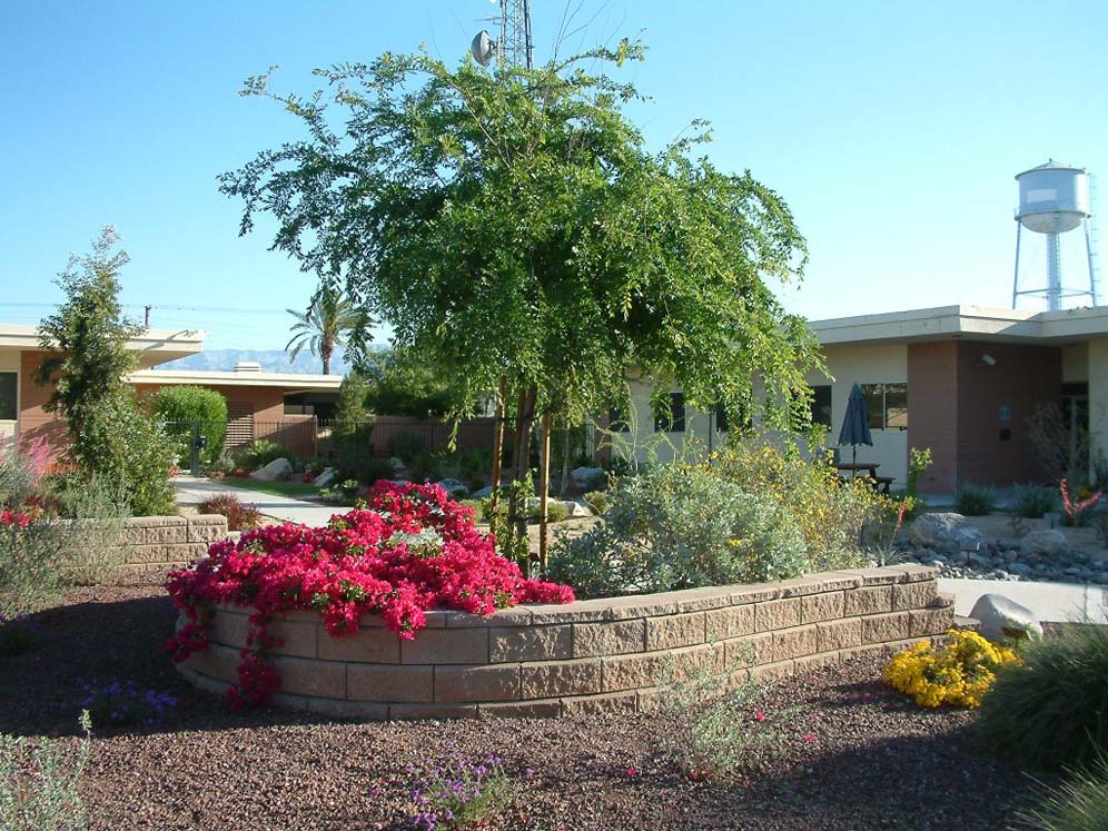 Raised Bed in the Garden