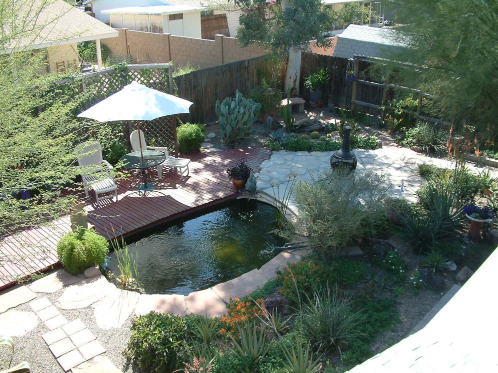 Bird's Eye View of Pond