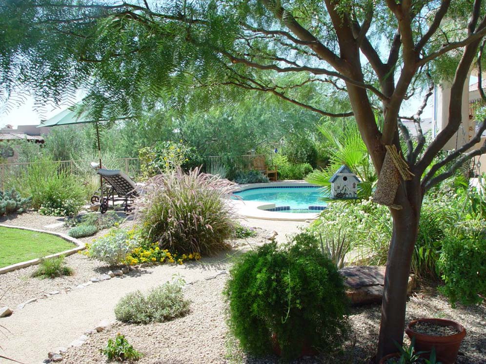 Walk to the Pool