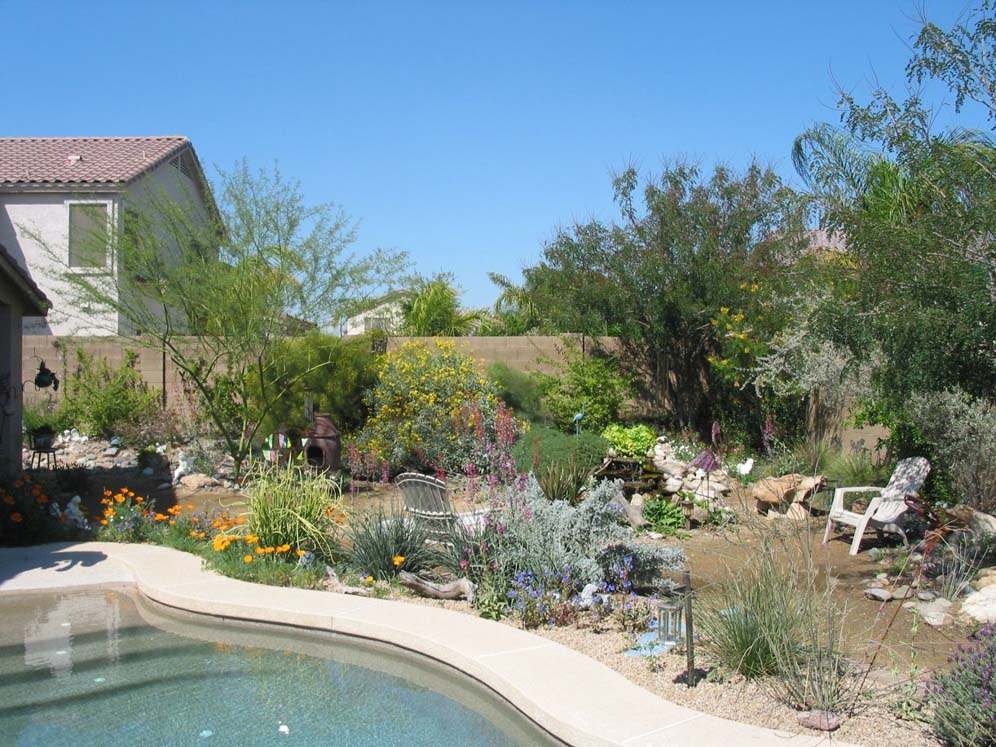Behind the Pool Garden