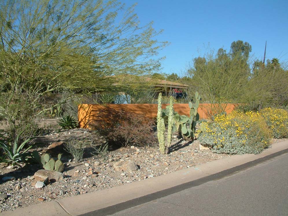 Privacy Wall and Street Plantings