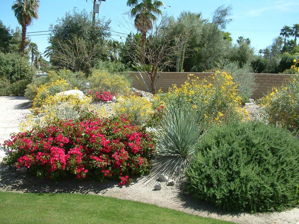 Add Bouganvillea