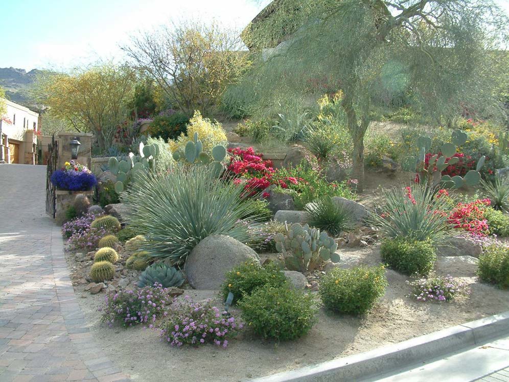Plants Along the Driveway