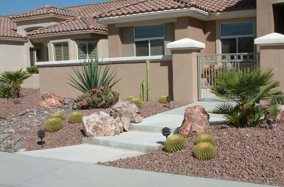 Barrel Cactus and Companions
