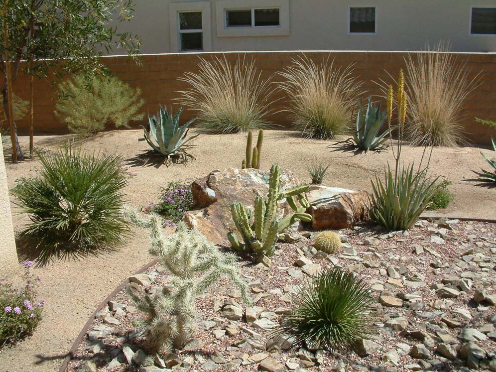 Baja Garden