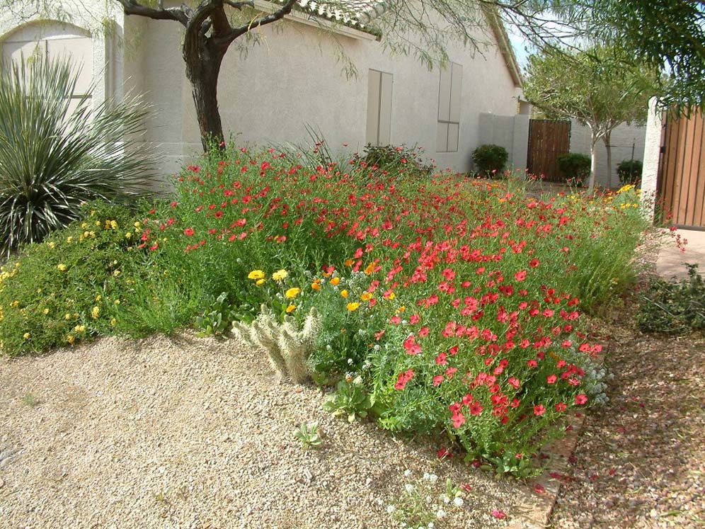 Hot Spots of Color