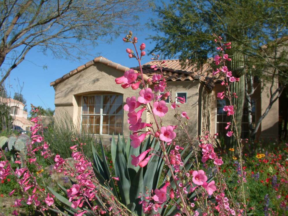 Wildflower Fiesta Garden