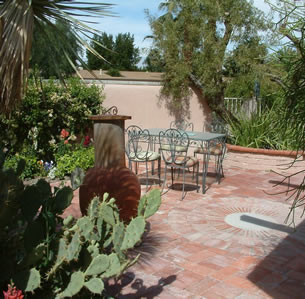 Patio Plants