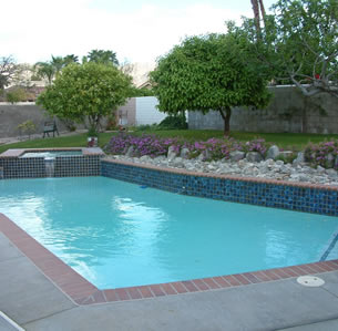 Swimming Pool Plants